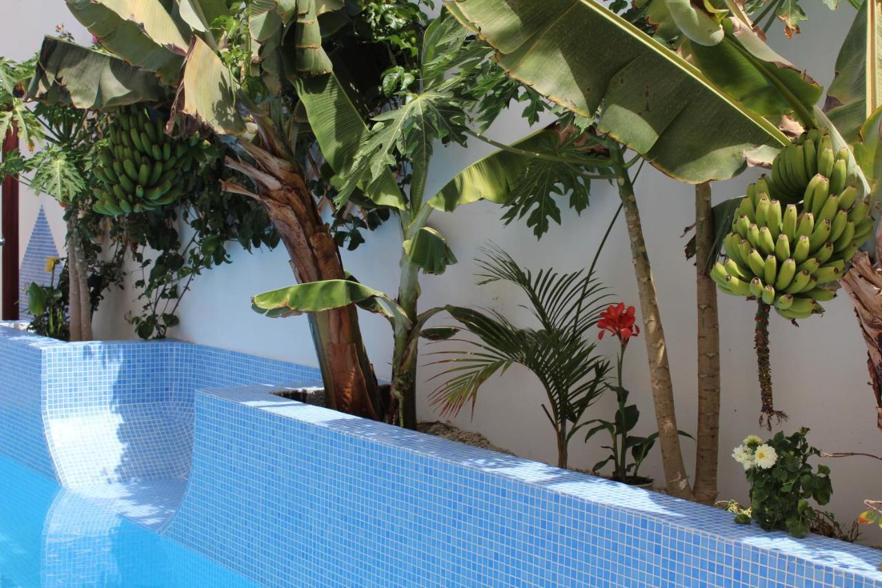 Casa El Olivo, Tenerife Valle de San Lorenzo Buitenkant foto